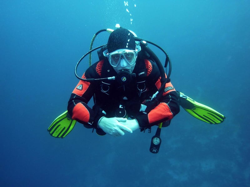 Swimming with sharks in South Africa